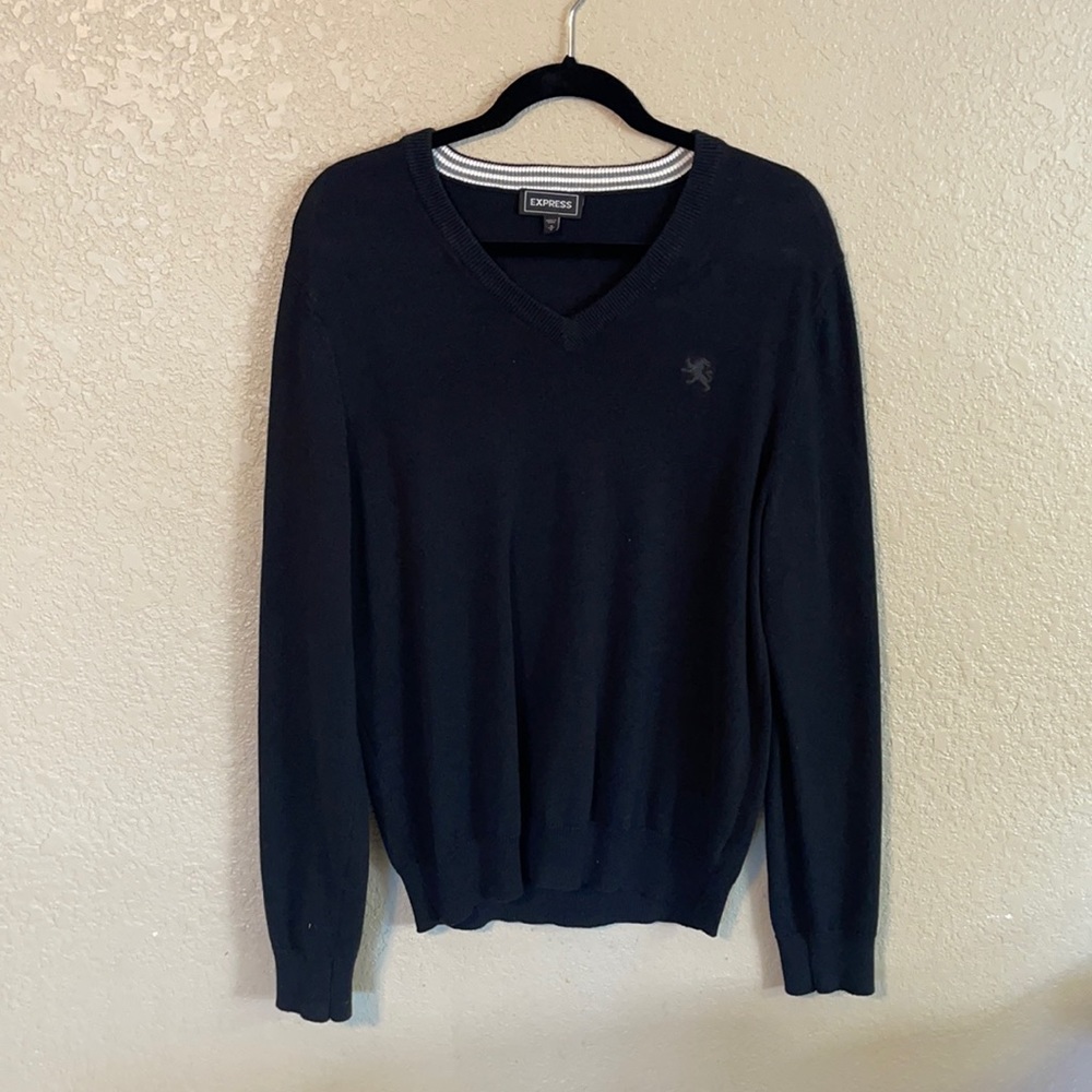 Express V Neck sweater